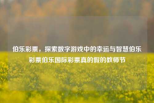 伯乐彩票探索数字游戏中的幸运与智慧