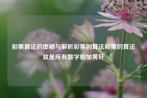 彩票算法的奥秘与解析彩票的算法彩票的算法就是所有数字相加黄轩