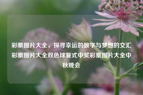 彩票图片大全，探寻幸运的数字与梦想的交汇彩票图片大全双色球复式中奖彩票图片大全中秋晚会