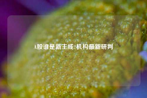 A股谁是新主线?机构最新研判