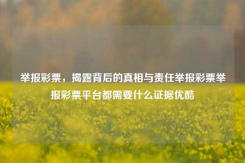 举报彩票，揭露背后的真相与责任举报彩票举报彩票平台都需要什么证据优酷