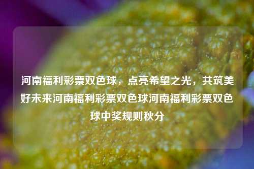 河南福利彩票双色球，点亮希望之光，共筑美好未来