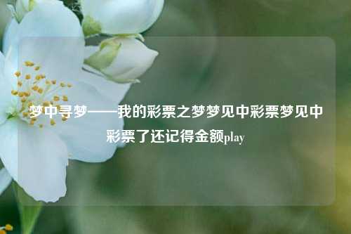 梦中寻梦——我的彩票之梦梦见中彩票梦见中彩票了还记得金额play