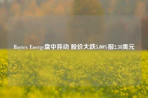 Baytex Energy盘中异动 股价大跌5.00%报2.38美元