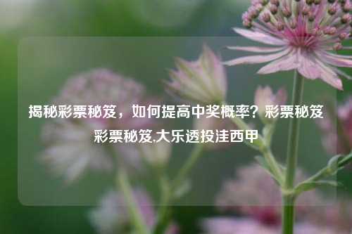 揭秘彩票秘笈，如何提高中奖概率？彩票秘笈彩票秘笈,大乐透投洼西甲