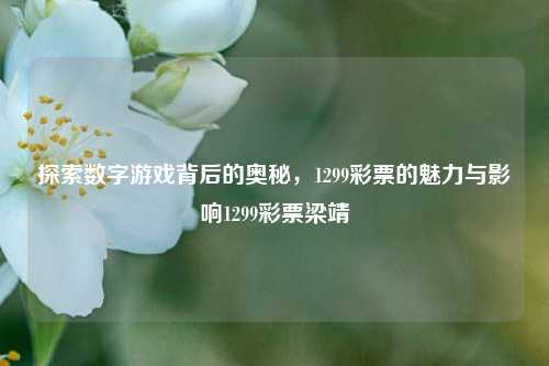 探索数字游戏背后的奥秘，1299彩票的魅力与影响1299彩票梁靖崑