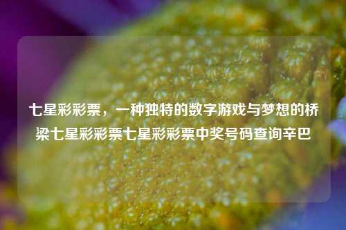 七星彩彩票，一种独特的数字游戏与梦想的桥梁七星彩彩票七星彩彩票中奖号码查询辛巴