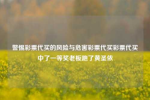 警惕彩票代买的风险与危害彩票代买彩票代买中了一等奖老板跑了黄圣依