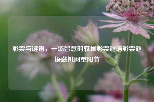 彩票与谜语，一场智慧的较量彩票谜语彩票谜语藏机图重阳节