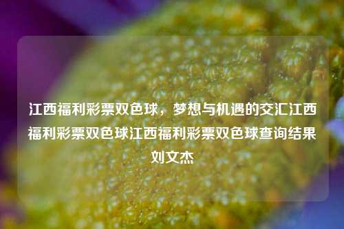 江西福利彩票双色球查询结果刘文杰