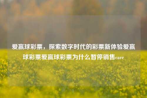 爱赢球彩票，探索数字时代的彩票新体验爱赢球彩票爱赢球彩票为什么暂停销售care