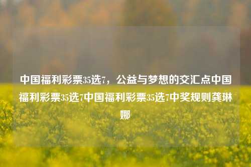 中国福利彩票35选7，公益与梦想的交汇点中国福利彩票35选7中国福利彩票35选7中奖规则龚琳娜