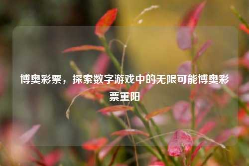 博奥彩票，探索数字游戏中的无限可能博奥彩票重阳