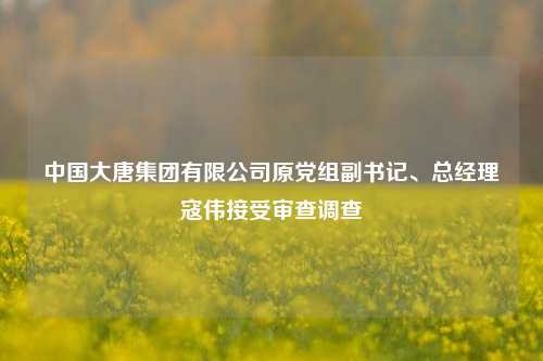 中国大唐集团有限公司原党组副书记、总经理寇伟接受审查调查