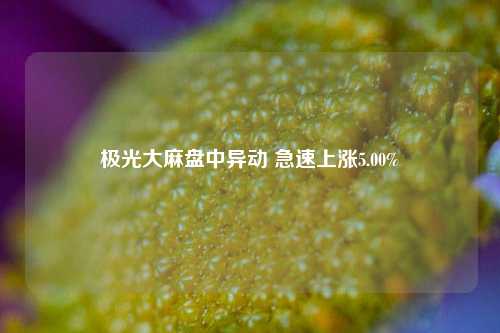 极光大麻盘中异动 急速上涨5.00%