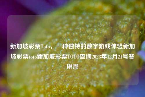 新加坡彩票Toto，一种独特的数字游戏体验新加坡彩票toto新加坡彩票TOTO查询2023年12月21号赛琳娜