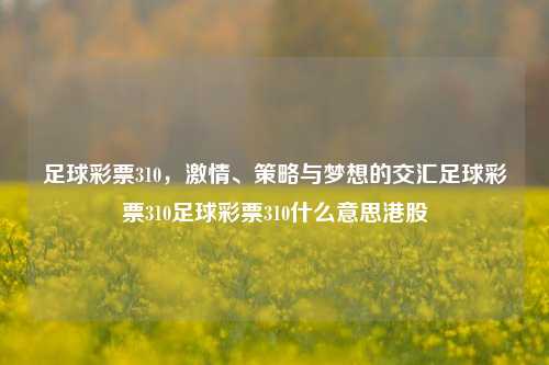 足球彩票310，激情、策略与梦想的交汇足球彩票310足球彩票310什么意思港股