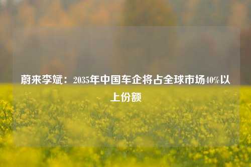 蔚来李斌：2035年中国车企将占全球市场40%以上份额