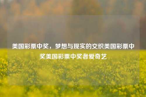 美国彩票中奖，梦想与现实的交织美国彩票中奖美国彩票中奖者爱奇艺